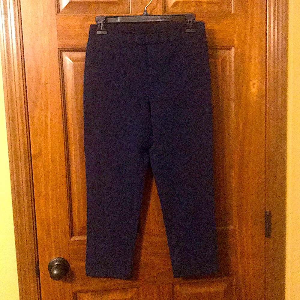 Clara Sun Woo Navy Stretch Capri